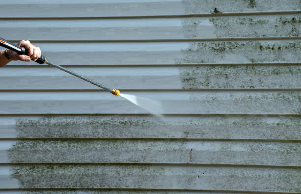 Animal Enclosure Cleaning in Laflin, PA